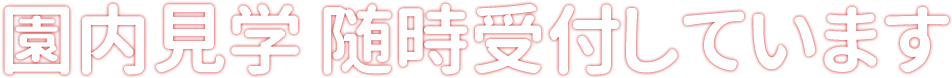 園内見学 随時受付しています